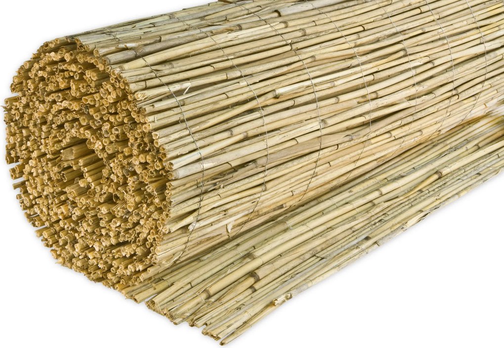 XXXLutz TIENIACA CLONA NA PLOT 600/160 cm - Online Only záhrada - 004978029504