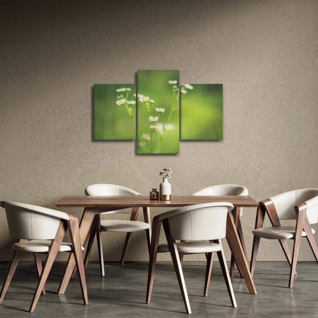 Obraz Sedmokrásky (90x60 cm)