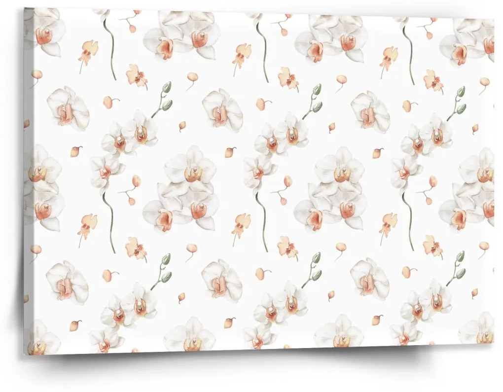Sablio Obraz Biela orchidea - 150x110 cm