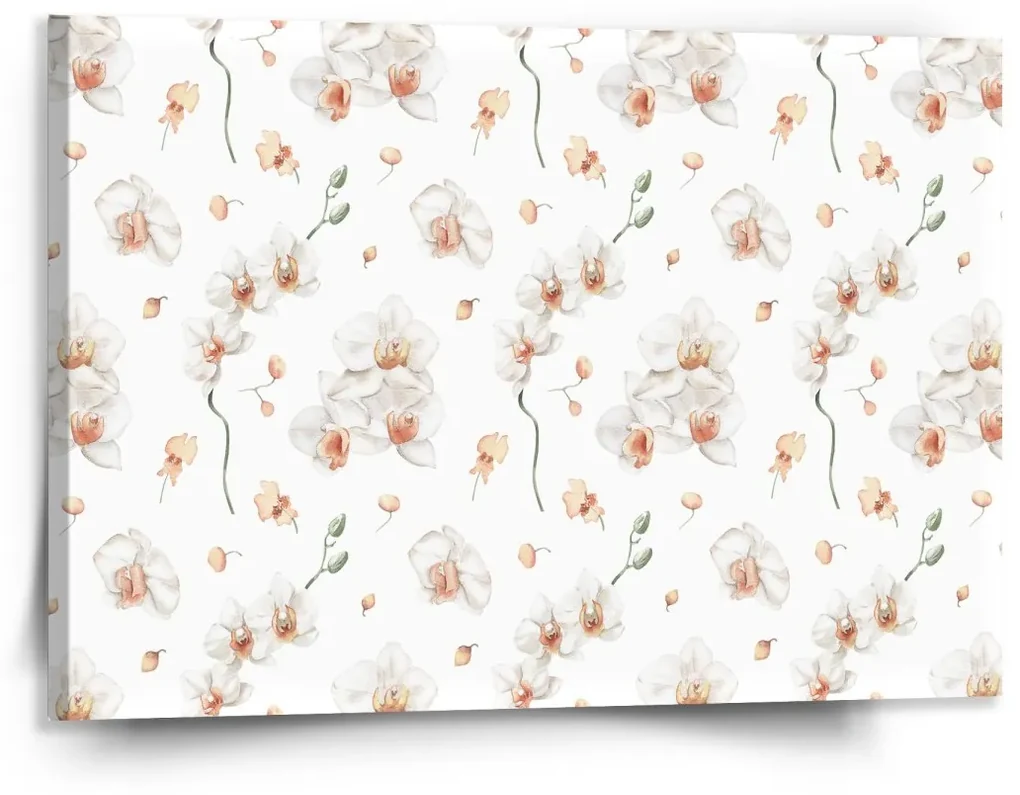 Sablio Obraz Biela orchidea - 150x110 cm