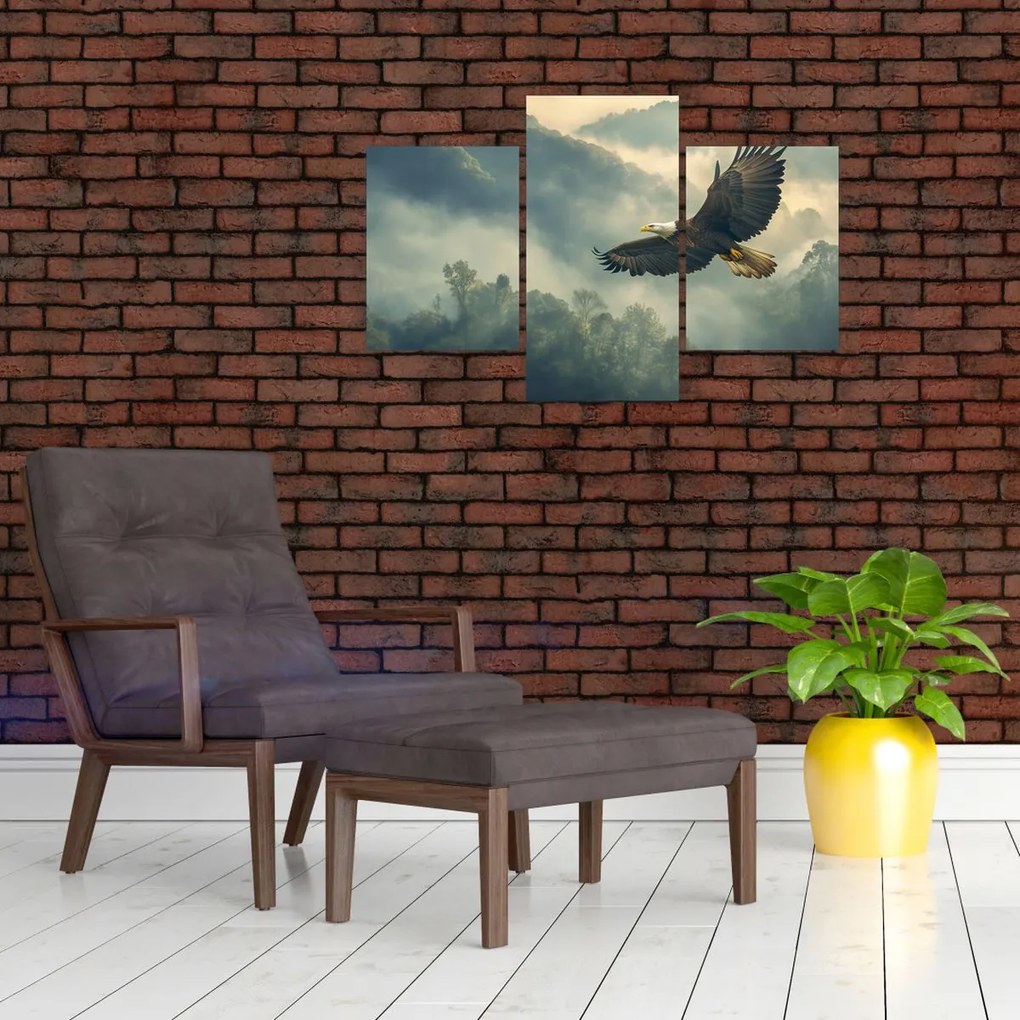 Obraz - Letiaci orol (90x60 cm)
