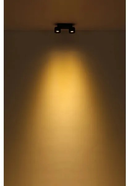 Globo 56961-2B - LED Bodové svietidlo RAE 2xLED/6W/230V čierna