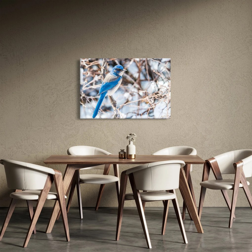 Obraz - Zimný vtáčik (90x60 cm)
