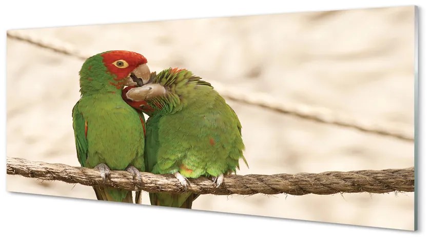 Obraz na akrylátovom skle Zelené papagáje 120x60 cm