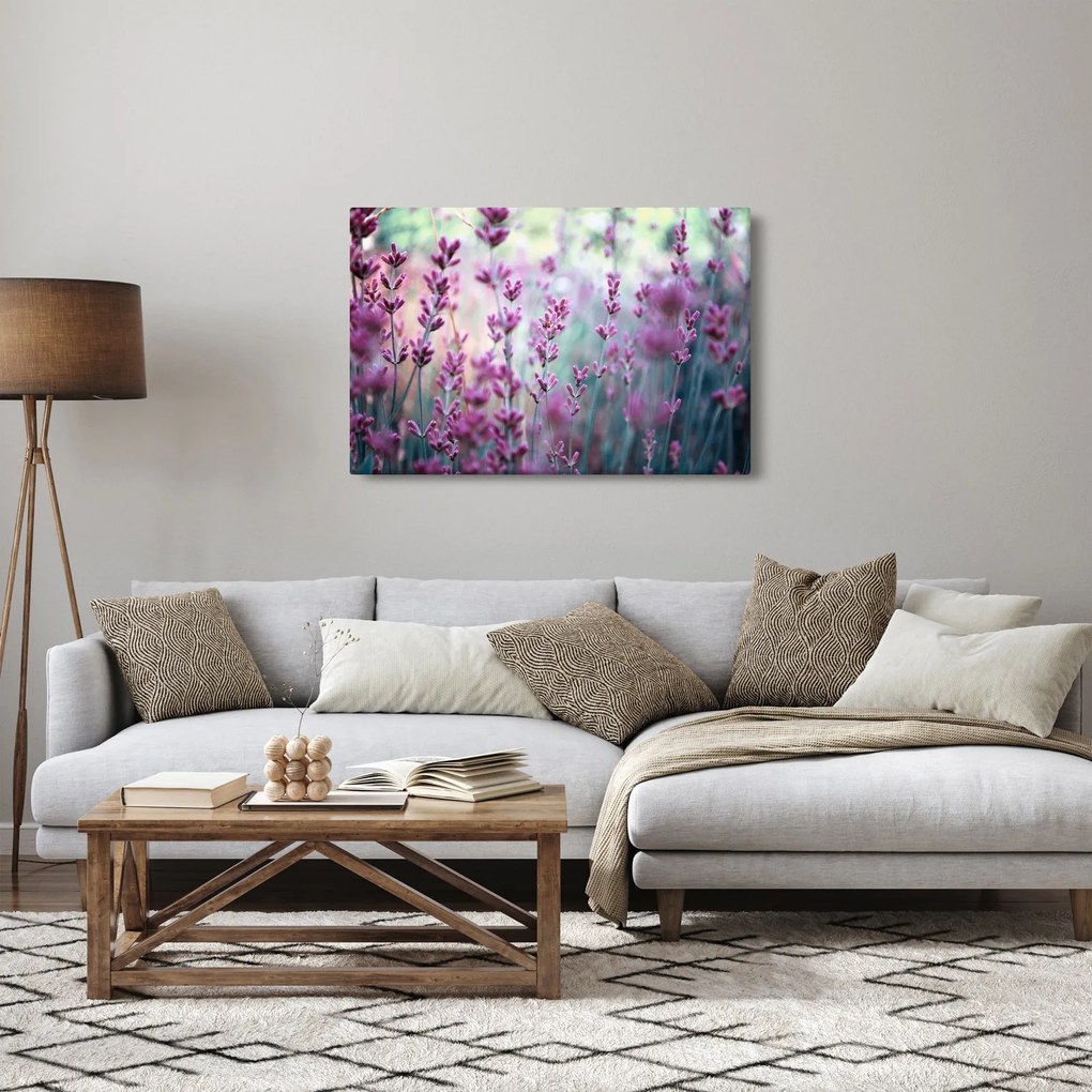 Obraz - Levanduľa (90x60 cm)