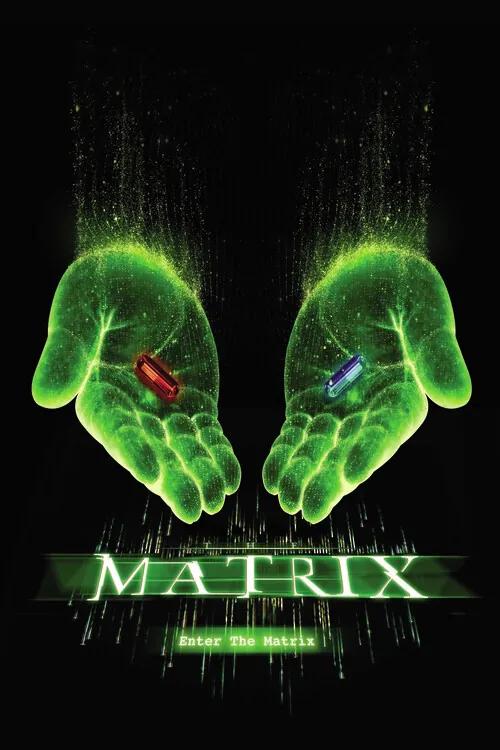 Umelecká tlač Matrix - Choose your path, (26.7 x 40 cm)