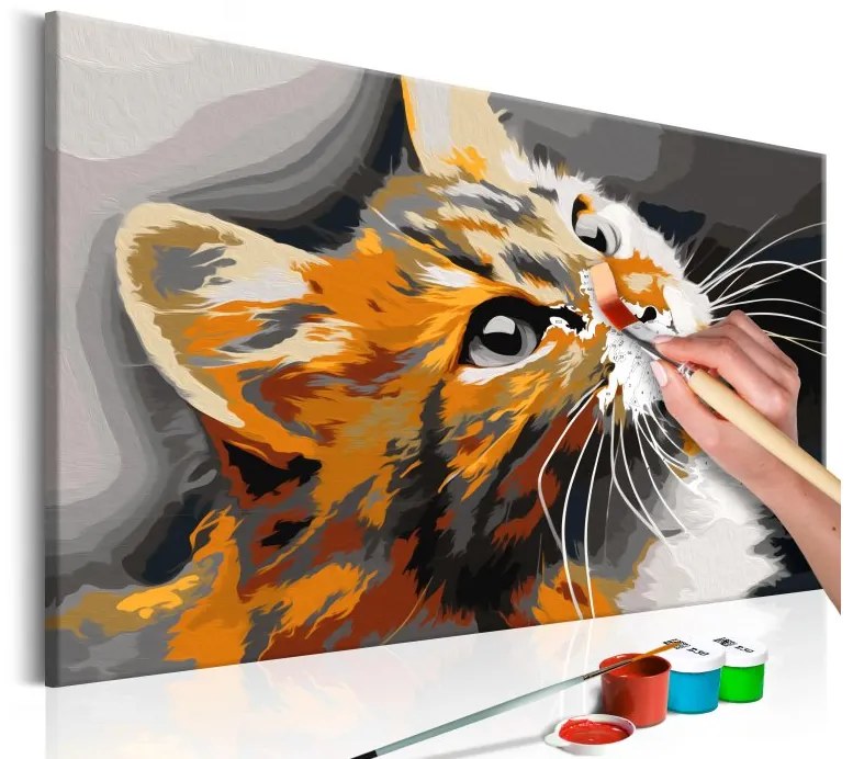 Obraz - maľovaný podľa čísel Red Cat