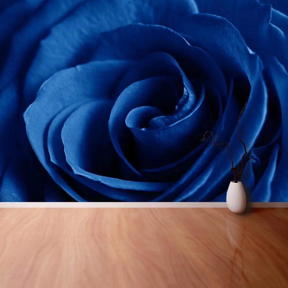 Fototapeta Vliesová Modrá ruža 104x70 cm