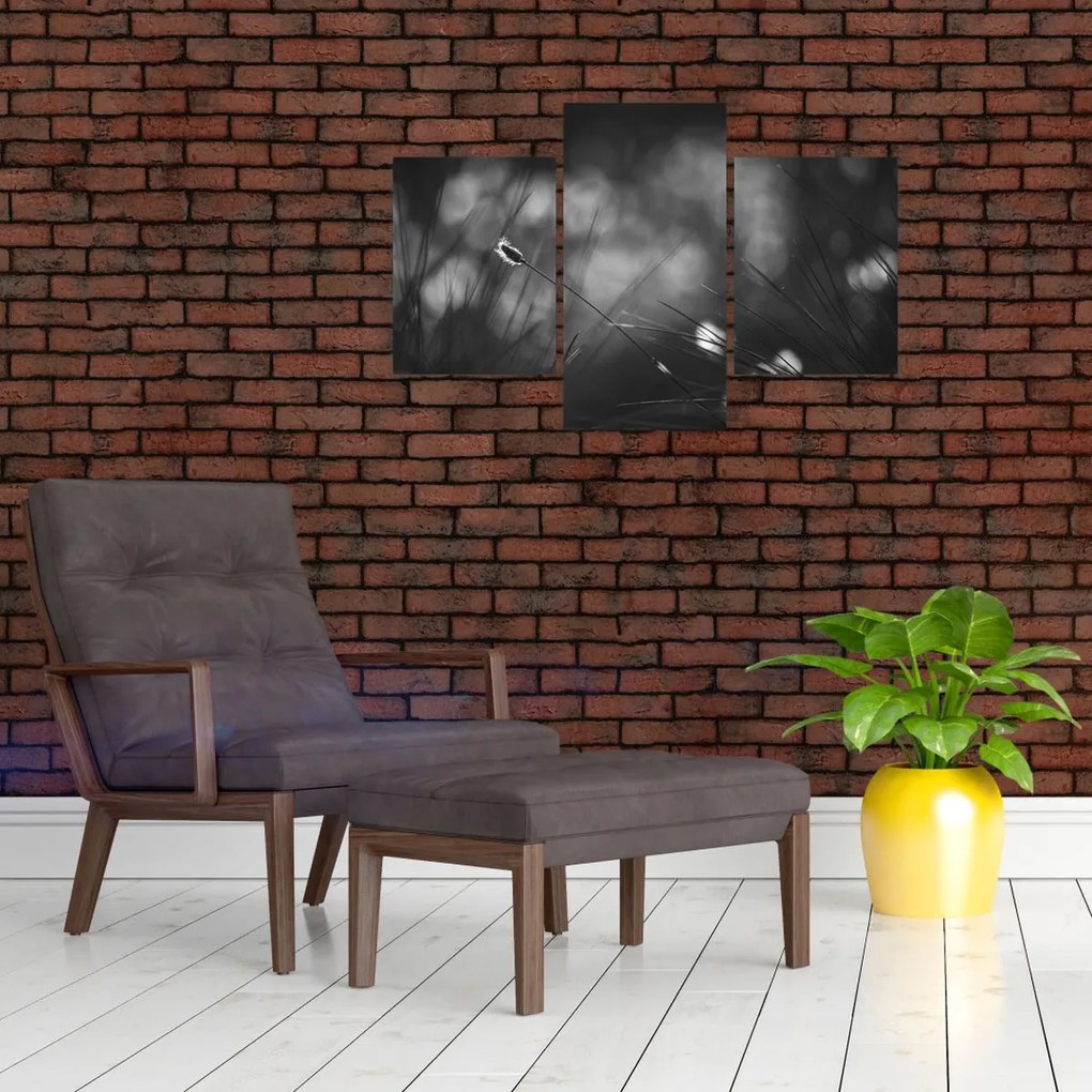 Obraz - Lúčna tráva (90x60 cm)