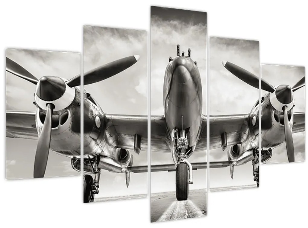 Obraz - Warbird (150x105 cm)