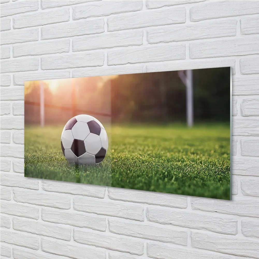 Sklenený obklad do kuchyne Futbal tráva gateway 120x60 cm