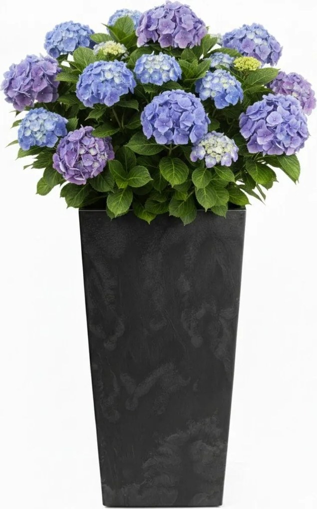 Květináč Porto 75x39,6 cm černý beton