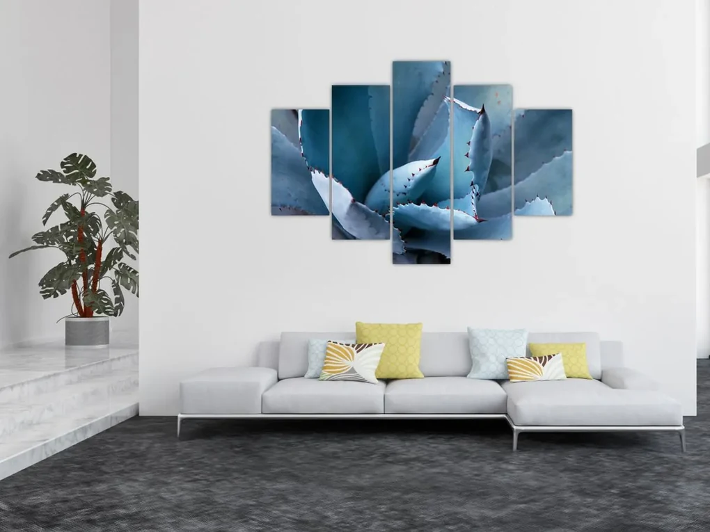 Obraz - Agáve (150x105 cm)