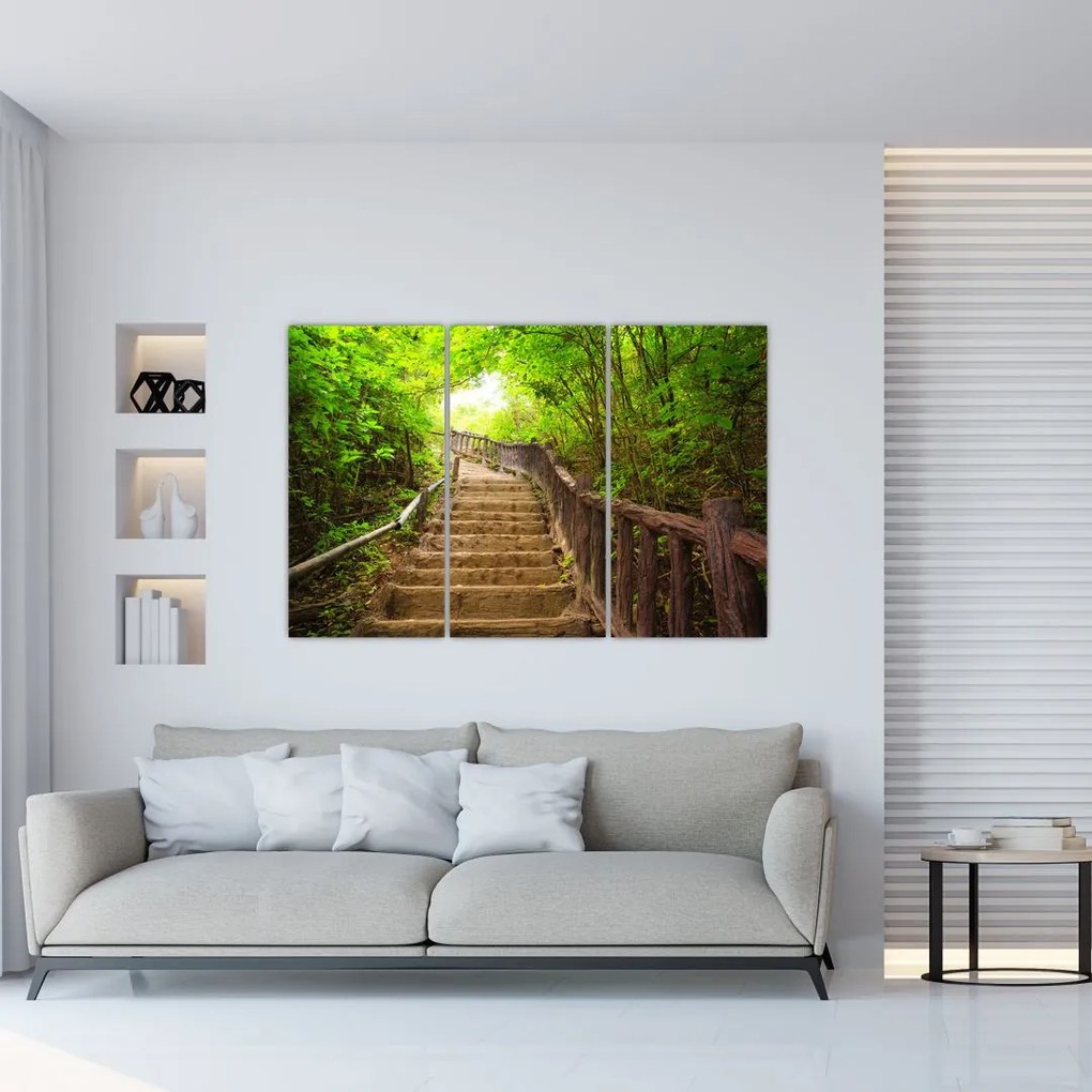 Schody v lese - obraz