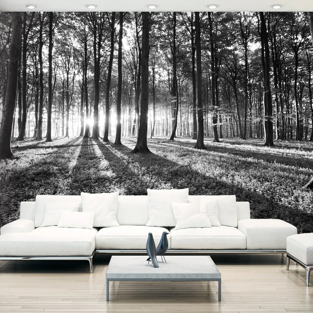 Fototapeta Bimago - Grey Wilderness + lepidlo zadarmo 200x140 cm