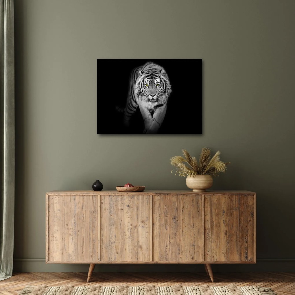Obraz - Tiger so žltými očami (70x50 cm)