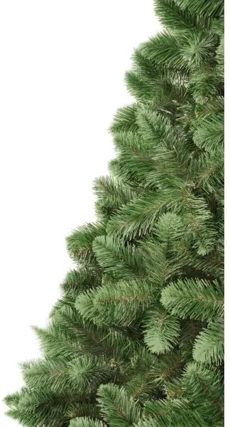 Vianočný stromček 250 cm borovica