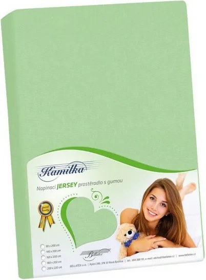 Bellatex Jersey prestieradlo Kamilka svetlozelená, 200 x 220 cm