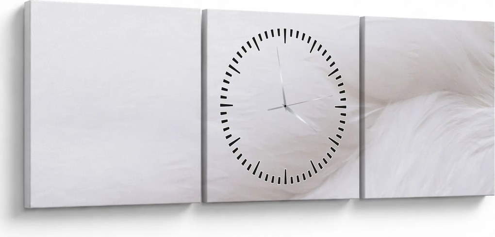 Obraz - Biele pierko (s hodinami) (90x30 cm)