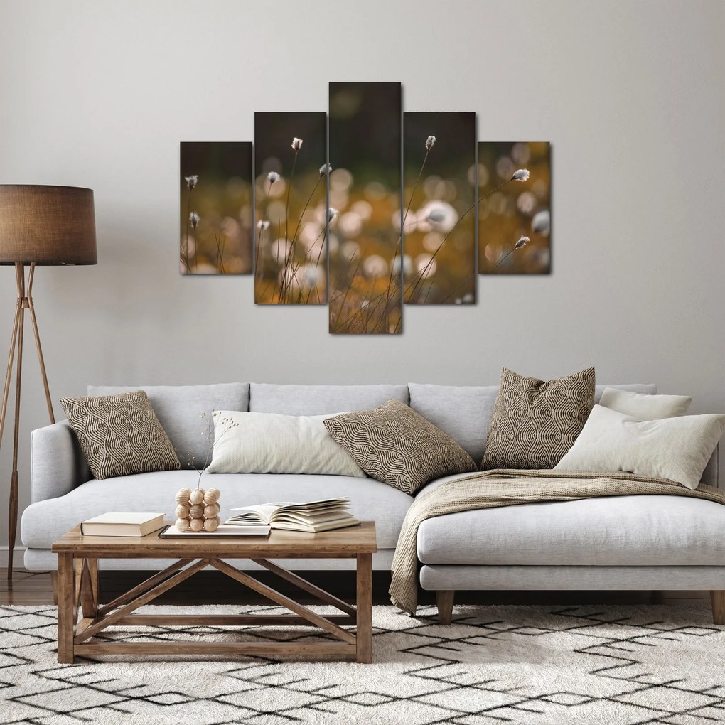 Obraz - Lúka s cottongrass N⁰2 (150x105 cm)