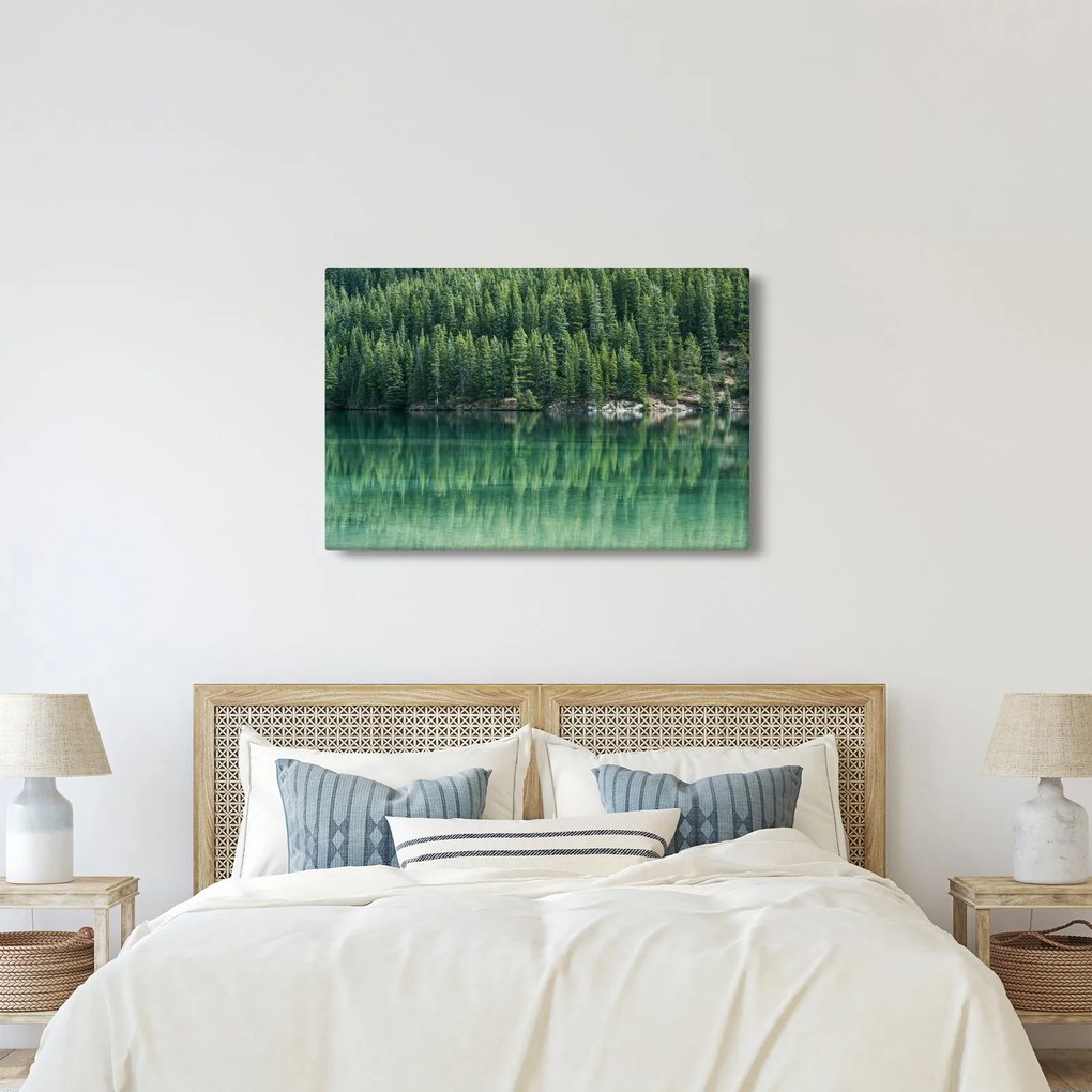 Obraz - Ihličnany pri jazere (90x60 cm)