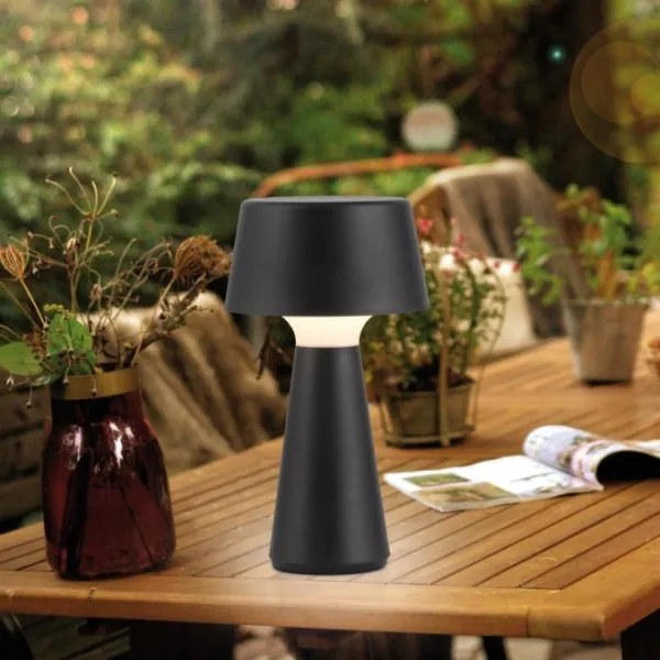 JUST LIGHT. 19260-18 - LED Stmievateľná vonkajšia lampa ABERA LED/3W/3,7V IP54