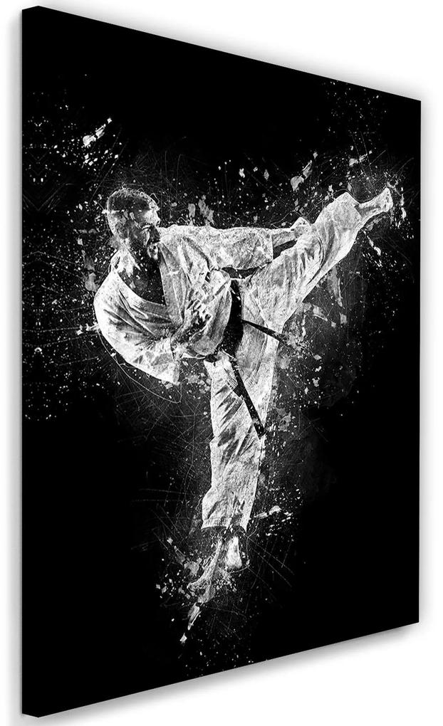 Gario Obraz na plátne Karate - Cornel Vlad Rozmery: 40 x 60 cm