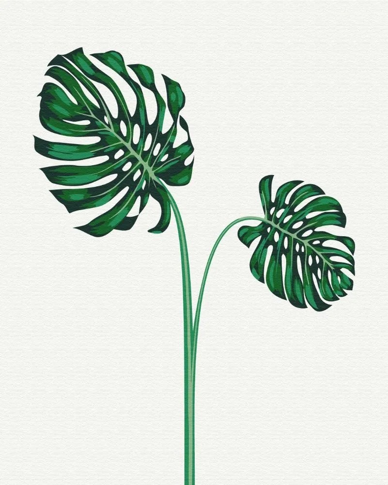 Maľovanie podľa čísiel exotická monstera