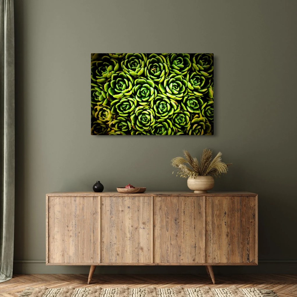 Obraz skalníc (90x60 cm)