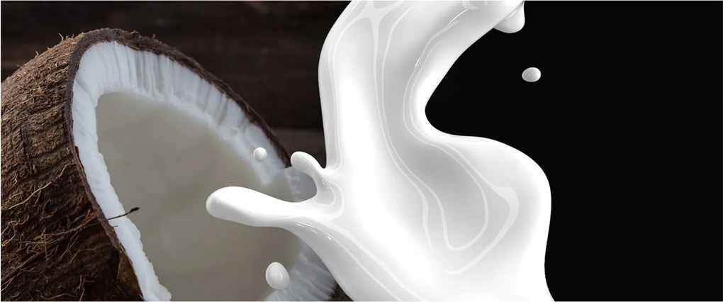 Obraz - kokosové mlieko (120x50 cm)
