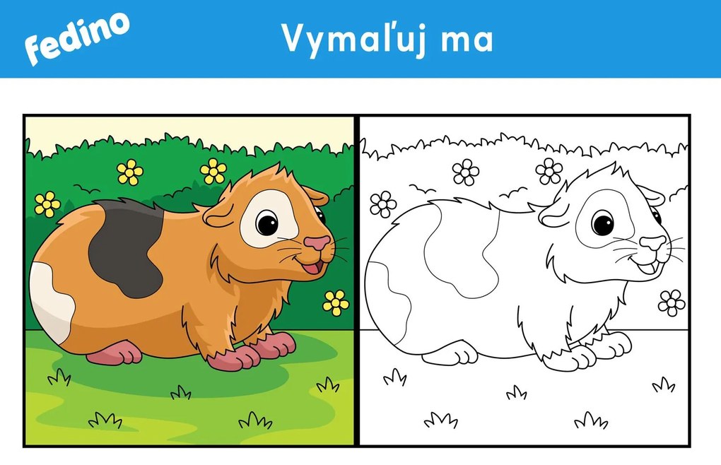 Omaľovánky – balík 2(20ks) – platený