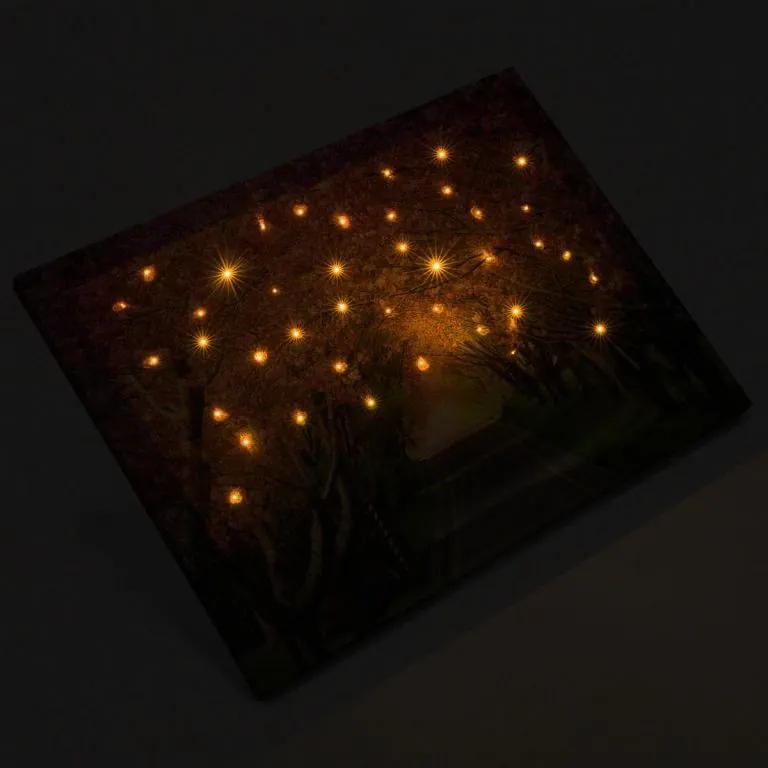 Nástenná maľba rozkvitnutá alej stromov, 40 LED, 30 x 40 cm