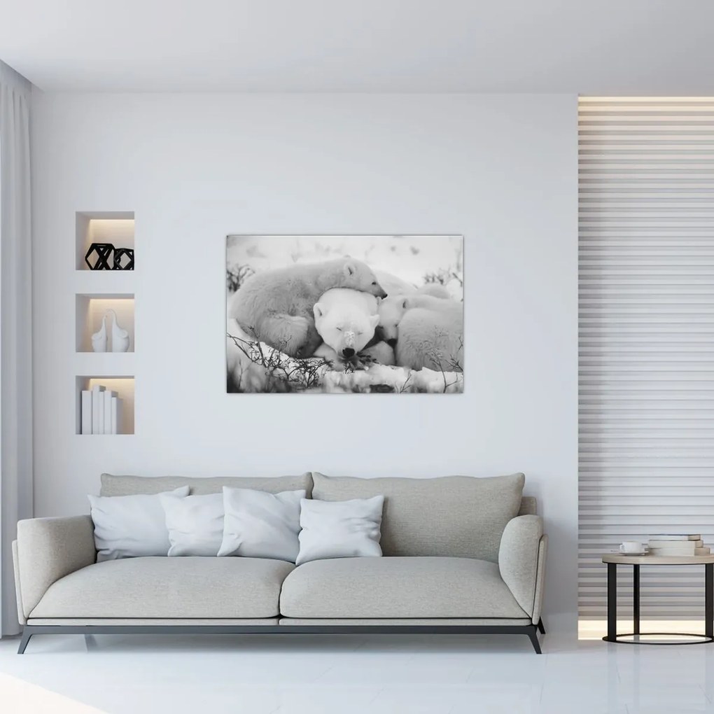 Obraz - Ľadové medvede (90x60 cm)