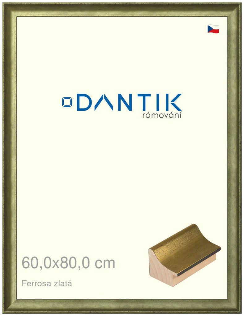 DANTIK rám na obraz 60x80 | Ferrosa zlatá (Plexi Čiré)