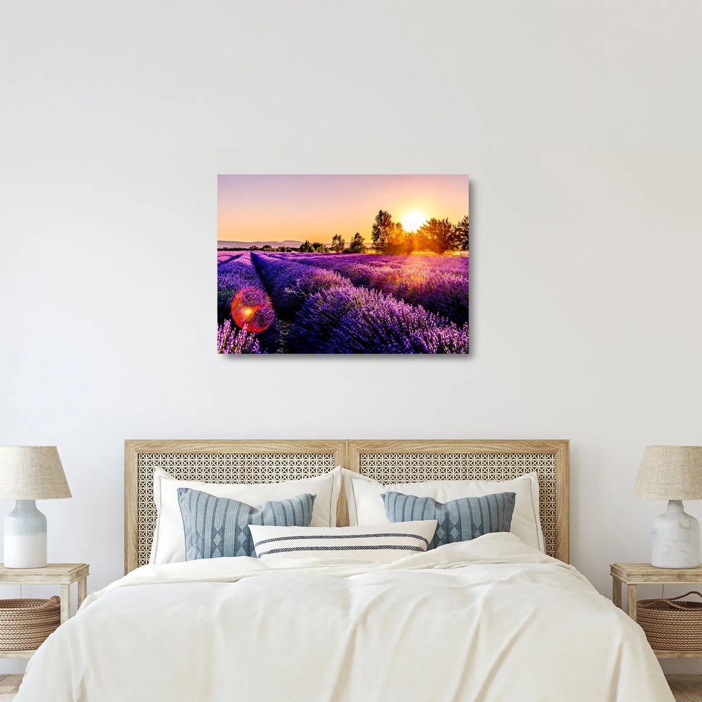 Sklenený obraz levanduľového poľa (70x50 cm)
