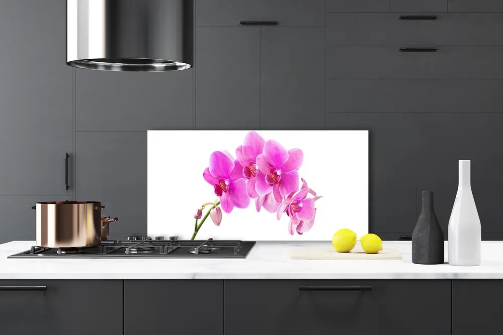 Sklenený obklad Do kuchyne Vstavač kvet orchidea 100x50 cm