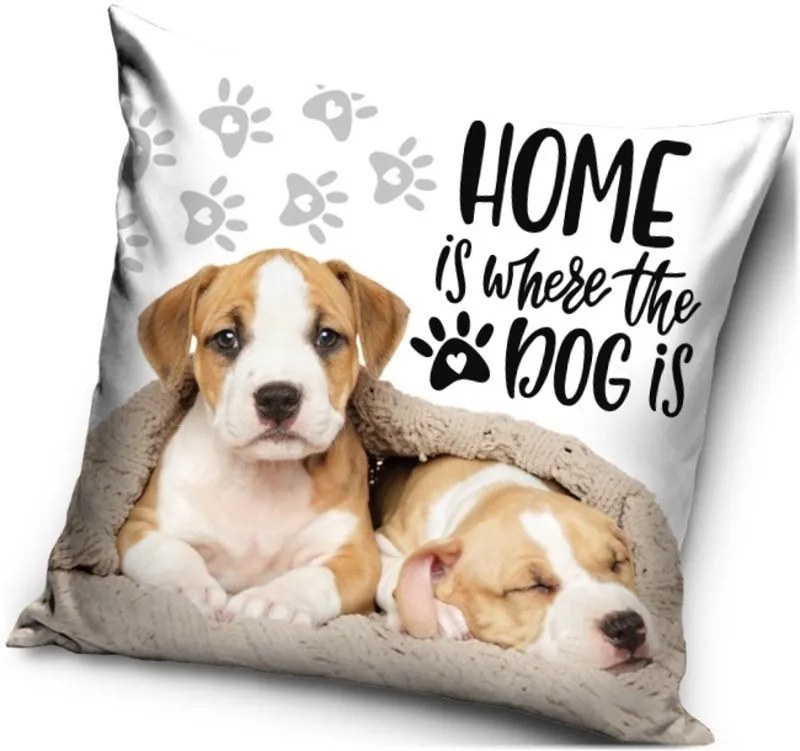 Vankúš s psíkmi - motív Home is where the dog is - Domov je tam, kde je pes - 40 x 40 cm