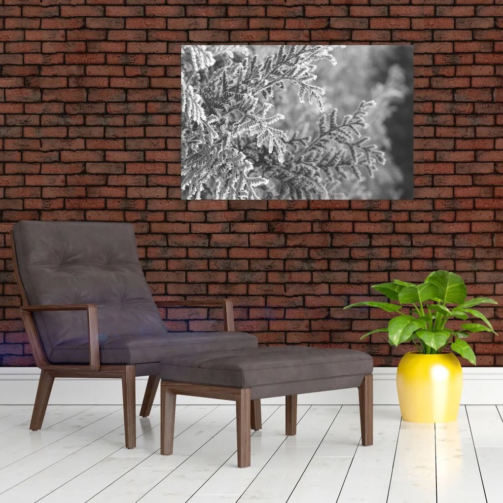 Obraz - Smrekový les (90x60 cm)