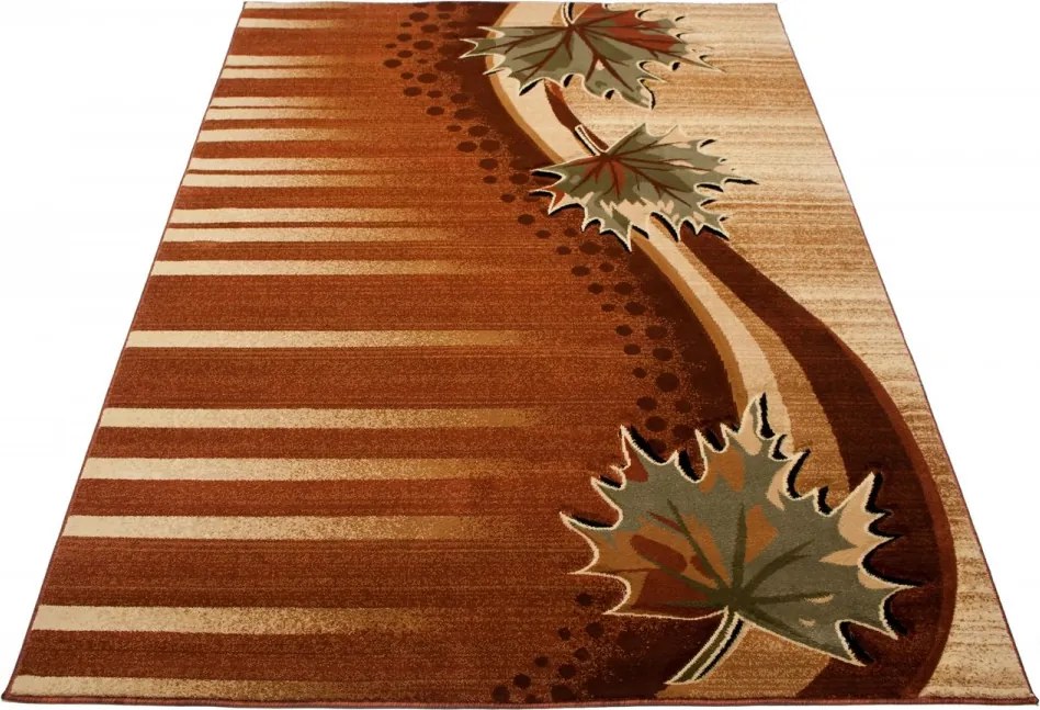 TA Koberec C657A HNEDÁ ANTOGYA Rozmer: 60x100 cm