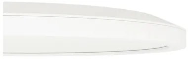 LED stropné svietidlo Eglo Crosslink 14,6 W 1700lm 2700-6500K biele stmievateľné - kompatibilné so SMART HOME by hornbach