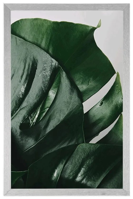 Plagát listy monstery - 60x90 silver