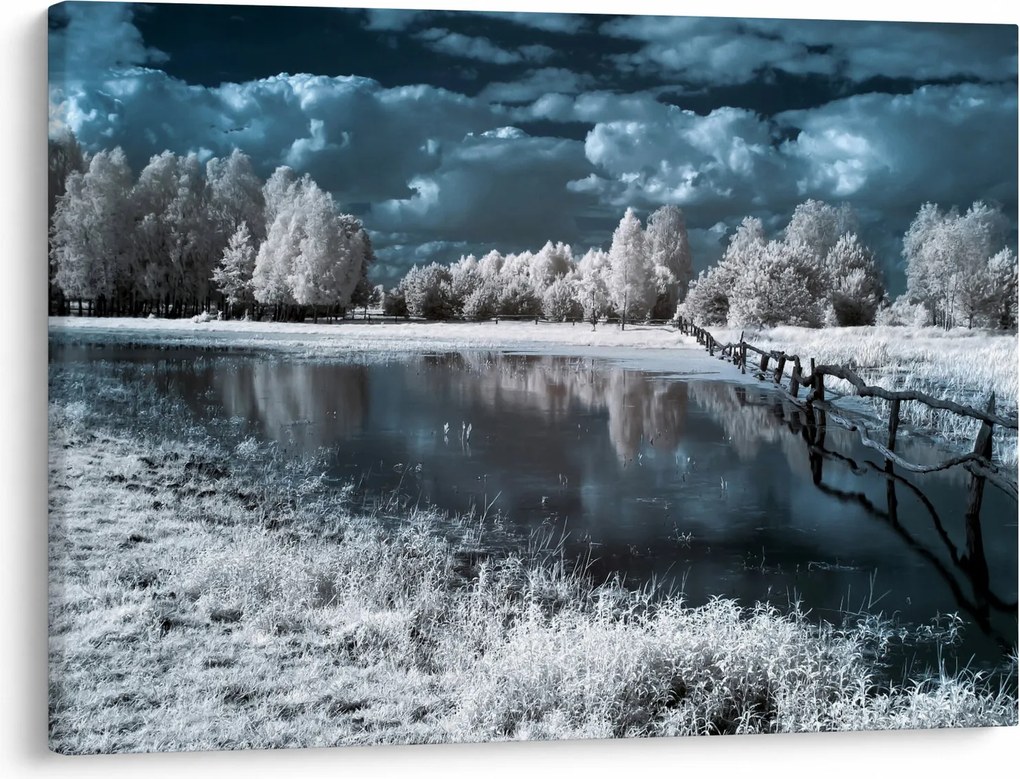 Obraz - Zamrznutá krajina (70x50 cm)