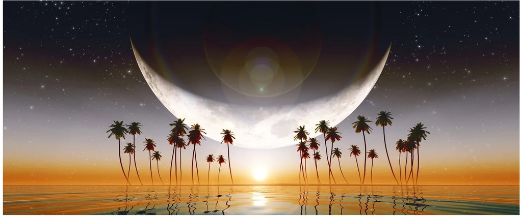 Obraz - Mesiac nad palmami (120x50 cm)