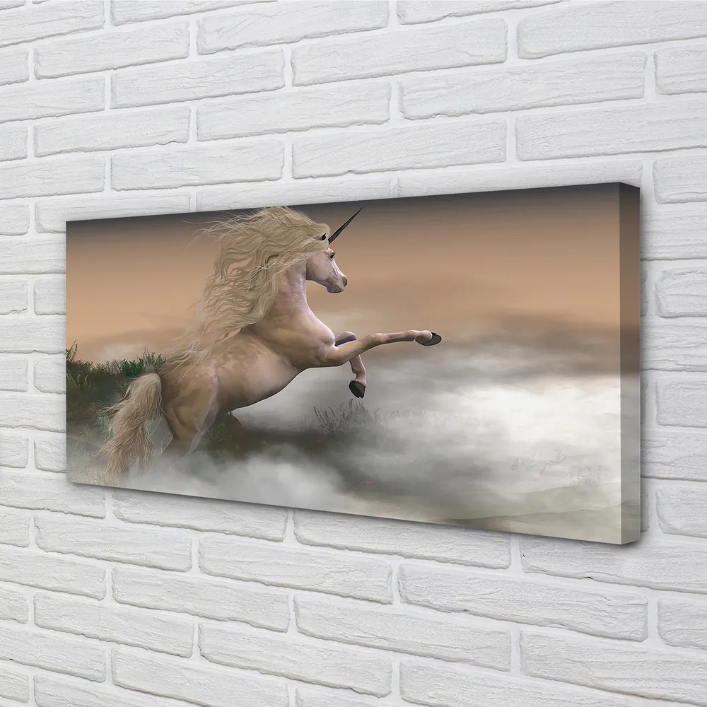 Obraz canvas Unicorn mraky 120x60 cm