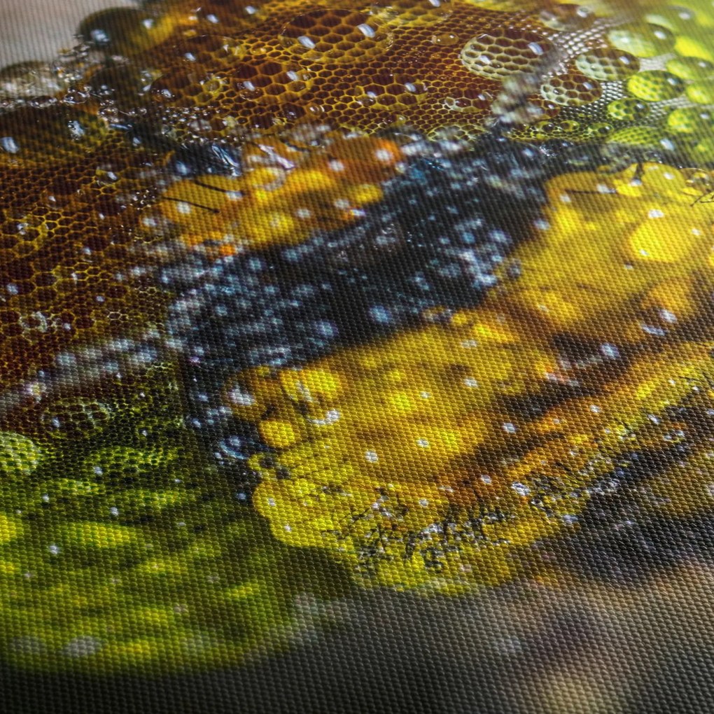 Detailný obraz očí hmyzu (70x50 cm)