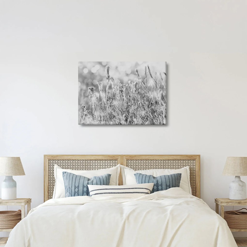 Obraz - Chladná zima (70x50 cm)