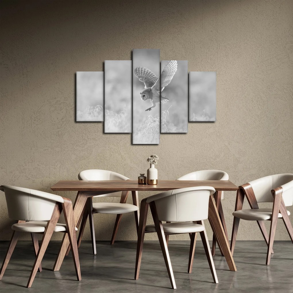 Obraz - Sova, čiernobiela (150x105 cm)
