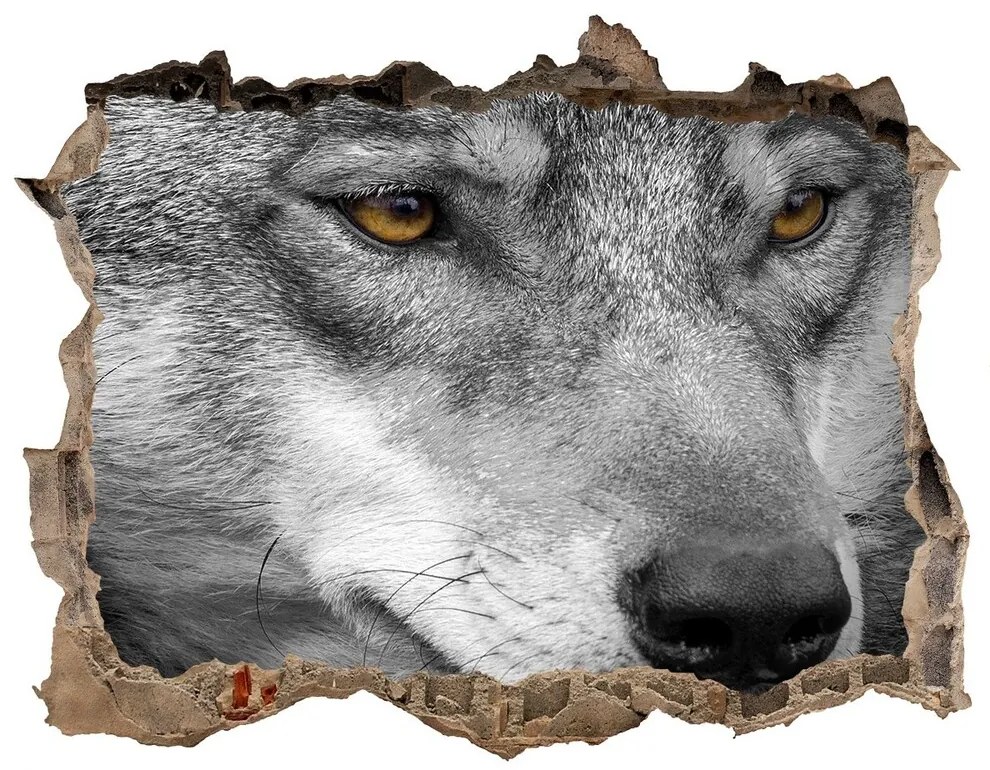 Díra 3D fototapeta na stěnu nálepka Vlk nd-k-103311727