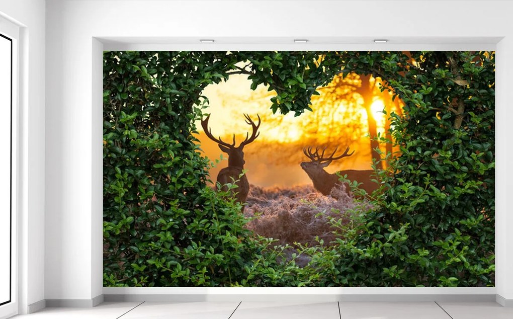 Gario Fototapeta Jelene v srdci krovia Materiál: Vliesová, Rozmery: 402 x 240 cm