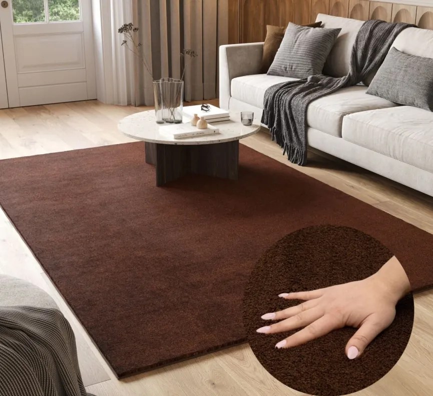 TA Koberec 7005 HNEDÉ OBJATIE Rozmer: 200x290 cm